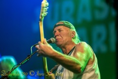 480692271_1923117021791639_5653146551654965957_n